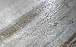 Close-up of Cortecca Leather stone with beige and gray tones.