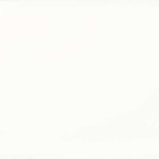 Alaska White Glossy 3"x6 | Ceramic | Wall Tile