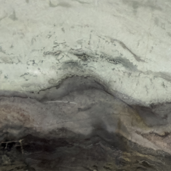 Amazonian Slab Amazonian 3cm Polished | Quartzite | Slab