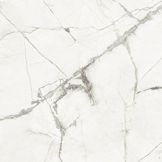 Ardelle Bianco Luce Polished 6"x6 | Color Body Porcelain | Floor/Wall Tile