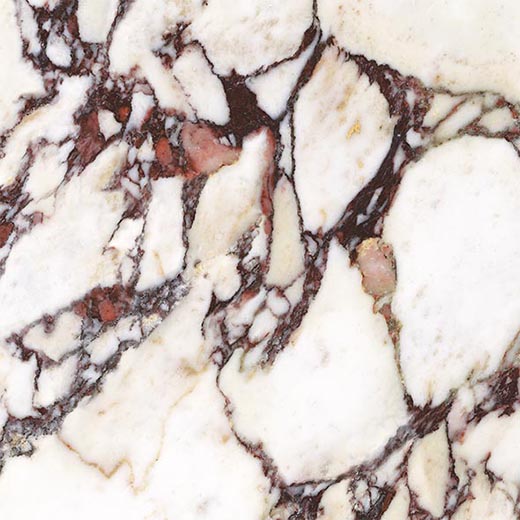 Armanti Calacatta Viola Matte 3"x3 | Glazed Porcelain | Floor/Wall