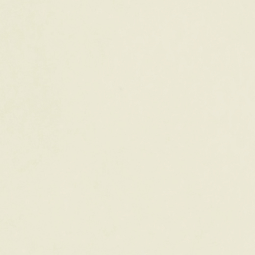 Artistry Ivory Glossy 2"x10 | Ceramic | Wall Tile