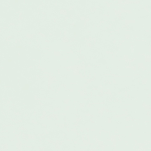Artistry White Glossy 2"x10 | Ceramic | Wall Tile