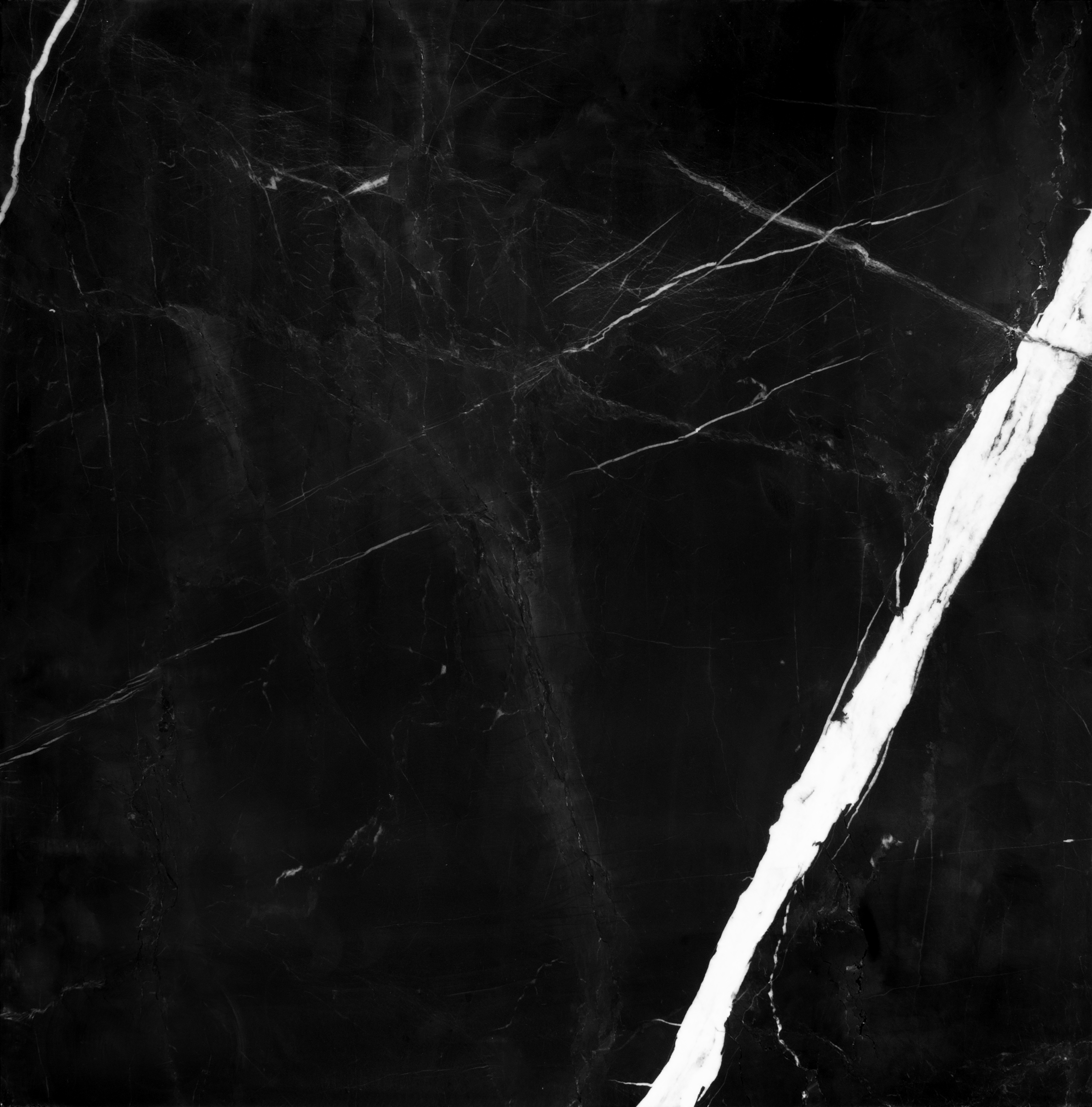 Black Caviar Honed 24"x24" | Marble | Floor/Wall Tile