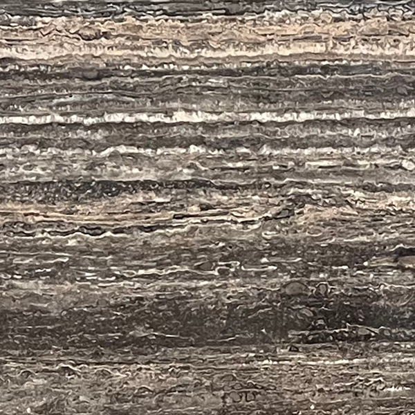 Black Travertine Vein Cut Slabs Black Travertine Vein Cut Polished 3cm | Travertine | Slab