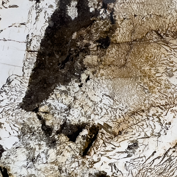 Blanc du Blanc Slab Blanc du Blanc 3cm Polished | Granite | Slab