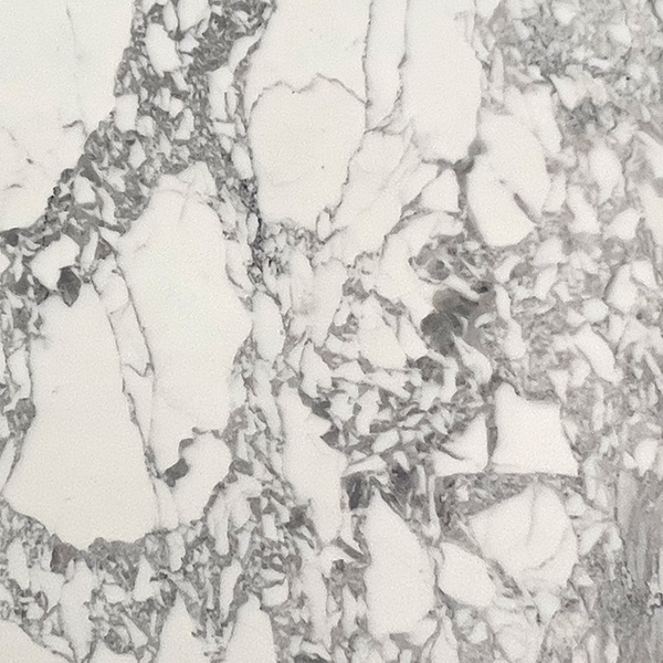 Calacatta Arabescato Carrara Slab Calacatta Arabescato Carrara Honed 2CM | Marble | Slab