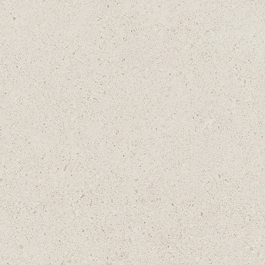 Camden Levee White Matte 12"x24 | Color Body Porcelain | Floor/Wall Tile