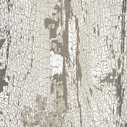 Outlet Carbon Beige Crackled - Outlet Matte 6"X48 | Color Body Porcelain | Floor/Wall Tile