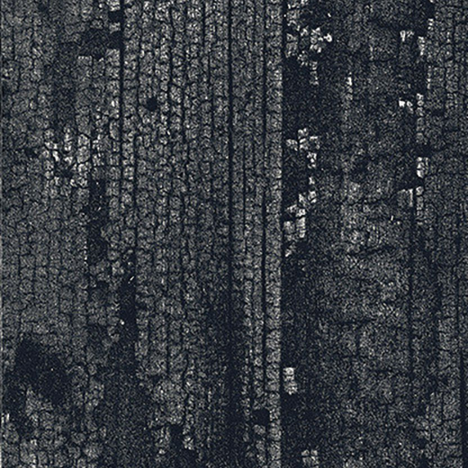 Outlet Carbon Black - Outlet Matte 8"X48 | Color Body Porcelain | Floor/Wall Tile