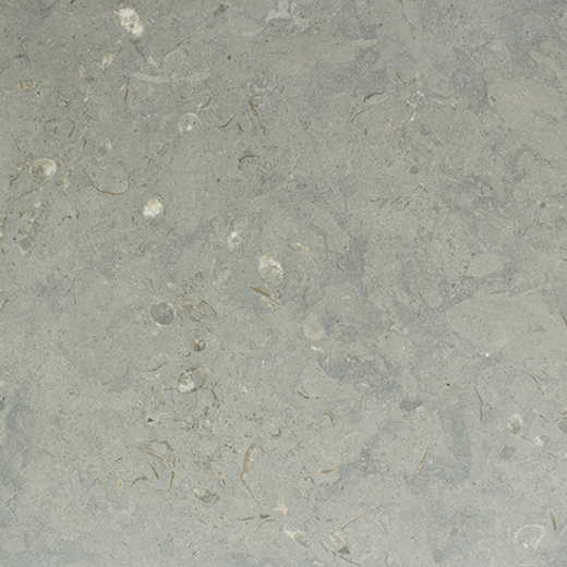 Dolomia Blue Dolomia Blue Honed 12"x24 | Limestone | Floor/Wall Tile