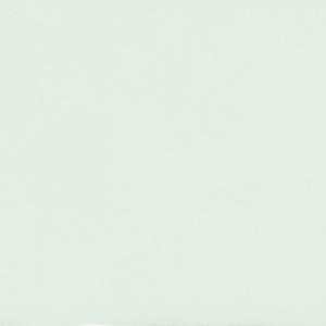 Dover Arctic White Gloss 2"x10" Wall | Ceramic | Wall Tile