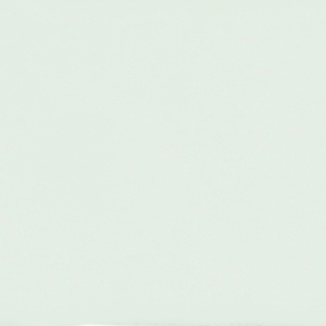 Dover Arctic White Gloss 2"x10" Wall | Ceramic | Wall Tile
