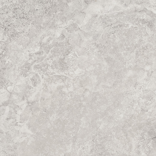 Edessa Silver Matte/Brushed 12"x24" | Color Body Porcelain | Floor/Wall Tile