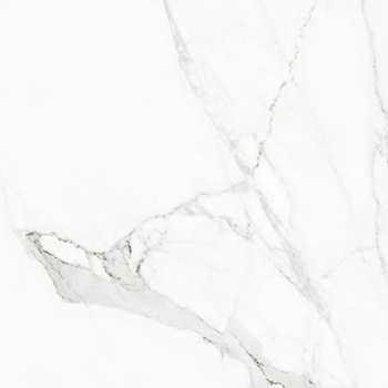 Elara White Beauty Matte 24"X24 | Color Body Porcelain | Floor/Wall Tile