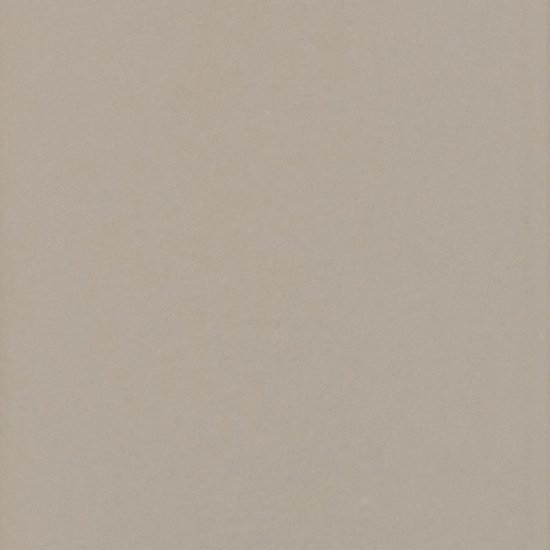 Everton Fawn Gloss 4"x12 | Ceramic | Wall Tile