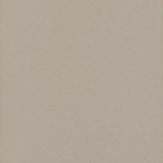 Everton Fawn Gloss 4"x12 | Ceramic | Wall Tile