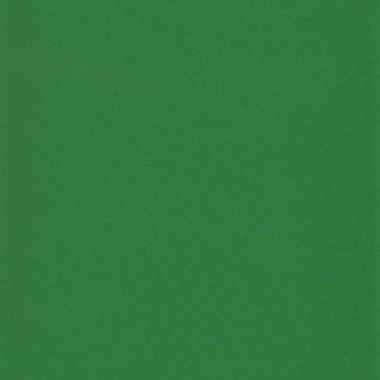 Everton Tarragon Gloss 4"x12 | Ceramic | Wall Tile
