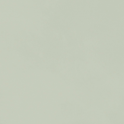 Expressions Mint Matte 20"x48 | Ceramic | Wall Tile