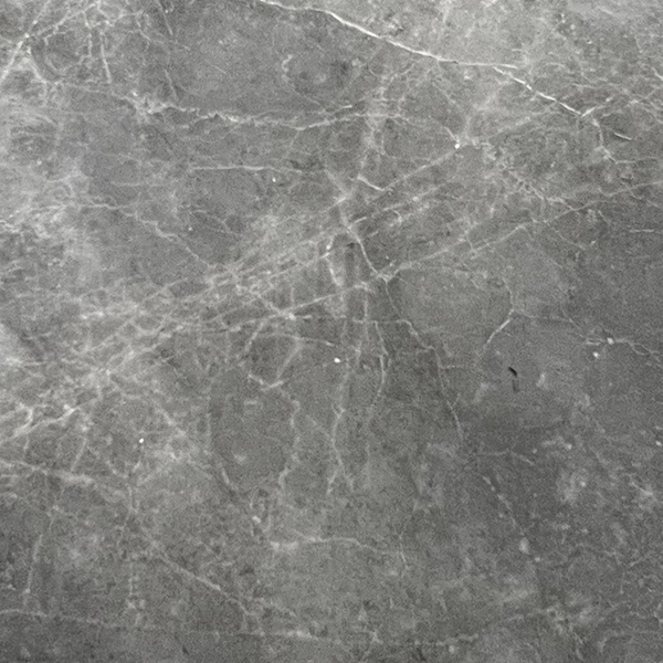 Grigio Collemandina Slab Grigio Collemandina 2cm Honed | Marble | Slab