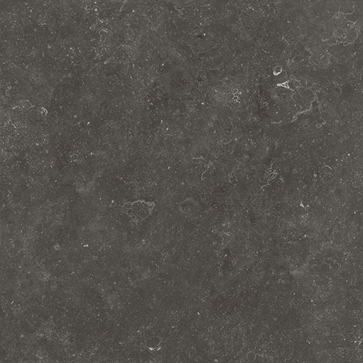 Kensington Fossil Black Matte 12"x24 | Color Body Porcelain | Floor/Wall Tile