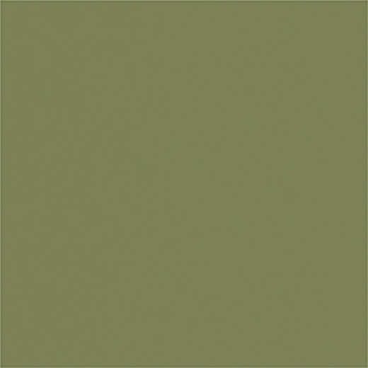 Kolore Pistacho Matte 12"x24 | Through Body Porcelain | Floor/Wall Tile