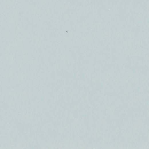 Lightstream Smoke Glossy 2"X8 | Glass | Wall Tile