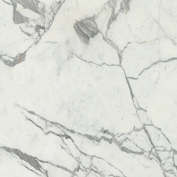 Livorno Collection Slabs White Statuario Honed 120"x60 | Color Body Porcelain | Slab