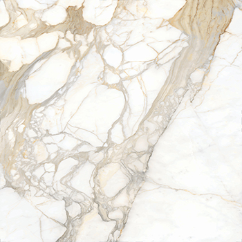 Livorno Bernini Oro Honed 30"X30" 6mm | Color Body Porcelain | Floor/Wall Tile