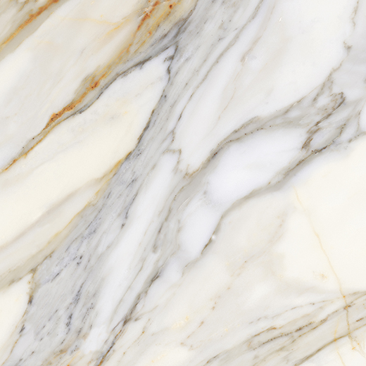 Luxoro Macchia Vecchia Polished 24"x24 | Color Body Porcelain | Floor/Wall Tile