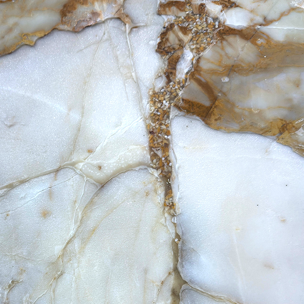 Macchia Vecchia Slab Macchia Vecchia Polished 2cm | Marble | Slab