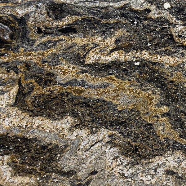 Magma Gold Slab Magma Gold Polished 3cm | Granite | Slab