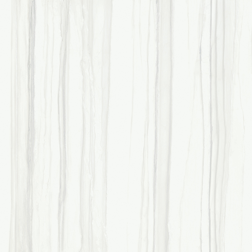 Montblanc Zebrino Polished 4"x12 | Color Body Porcelain | Floor/Wall Tile