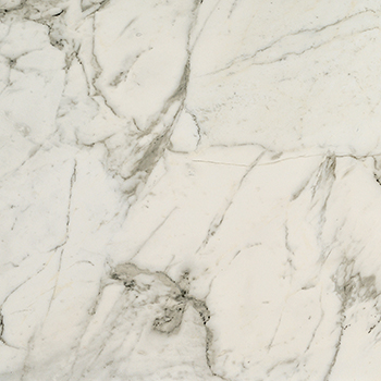 Odyssey Arabescato Matte 6"X6 | Color Body Porcelain | Floor/Wall Tile