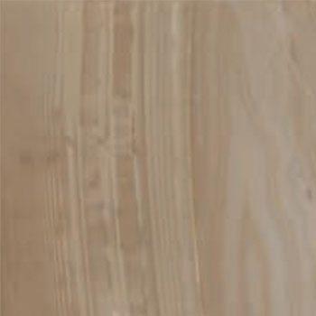 Outlet Sargente Brown Polished 12"x24 | Porcelain | Floor/Wall Tile