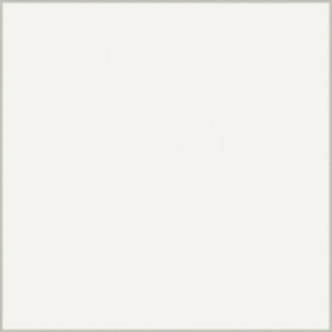 Pane Bianco Polished 4"x12 | Color Body Porcelain | Floor/Wall Tile