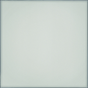 Pane Naturale Polished 4"x12 | Color Body Porcelain | Floor/Wall Tile