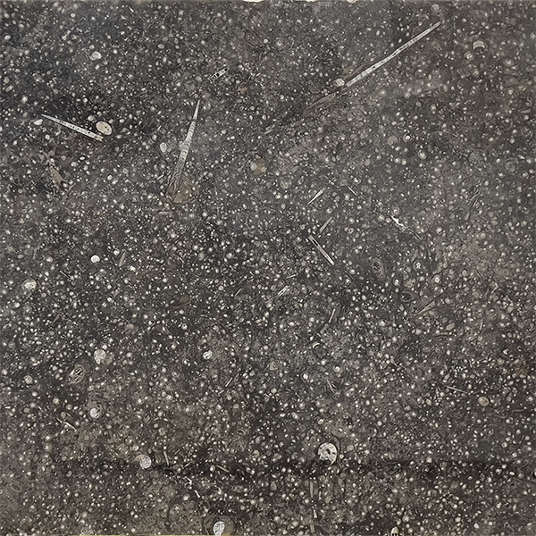 Pietra Di Efroud Slab Pietra Di Efroud 2cm Polished | Marble | Slab