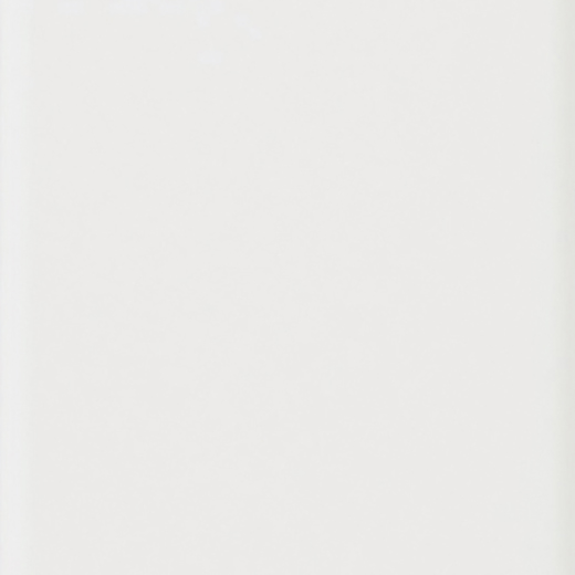 Plinto White Matte 4.2"x21.3" | Ceramic | Wall