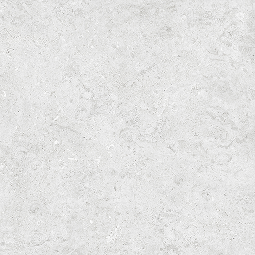 Reef Bianco Matte 12"x24 | Color Body Porcelain | Floor/Wall Tile