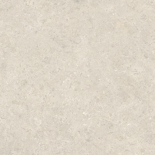 Reef Calcite Matte 12"x24 | Color Body Porcelain | Floor/Wall Tile