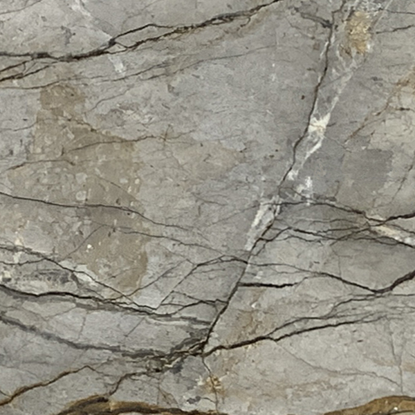 Silver Roots Slab Silver Roots Polished 2cm | Marble | Slab