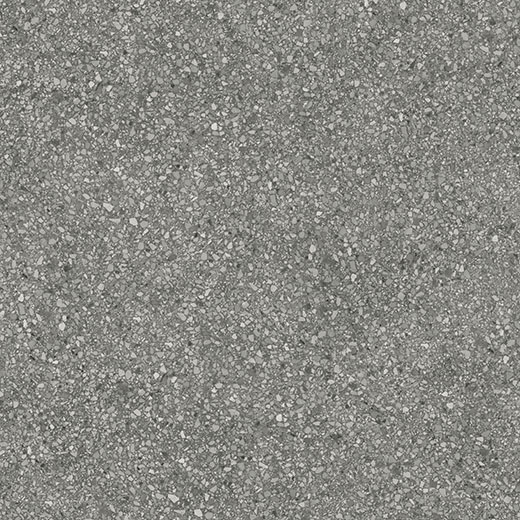 Speck Shadow Matte 12"x24 | Color Body Porcelain | Floor/Wall Tile