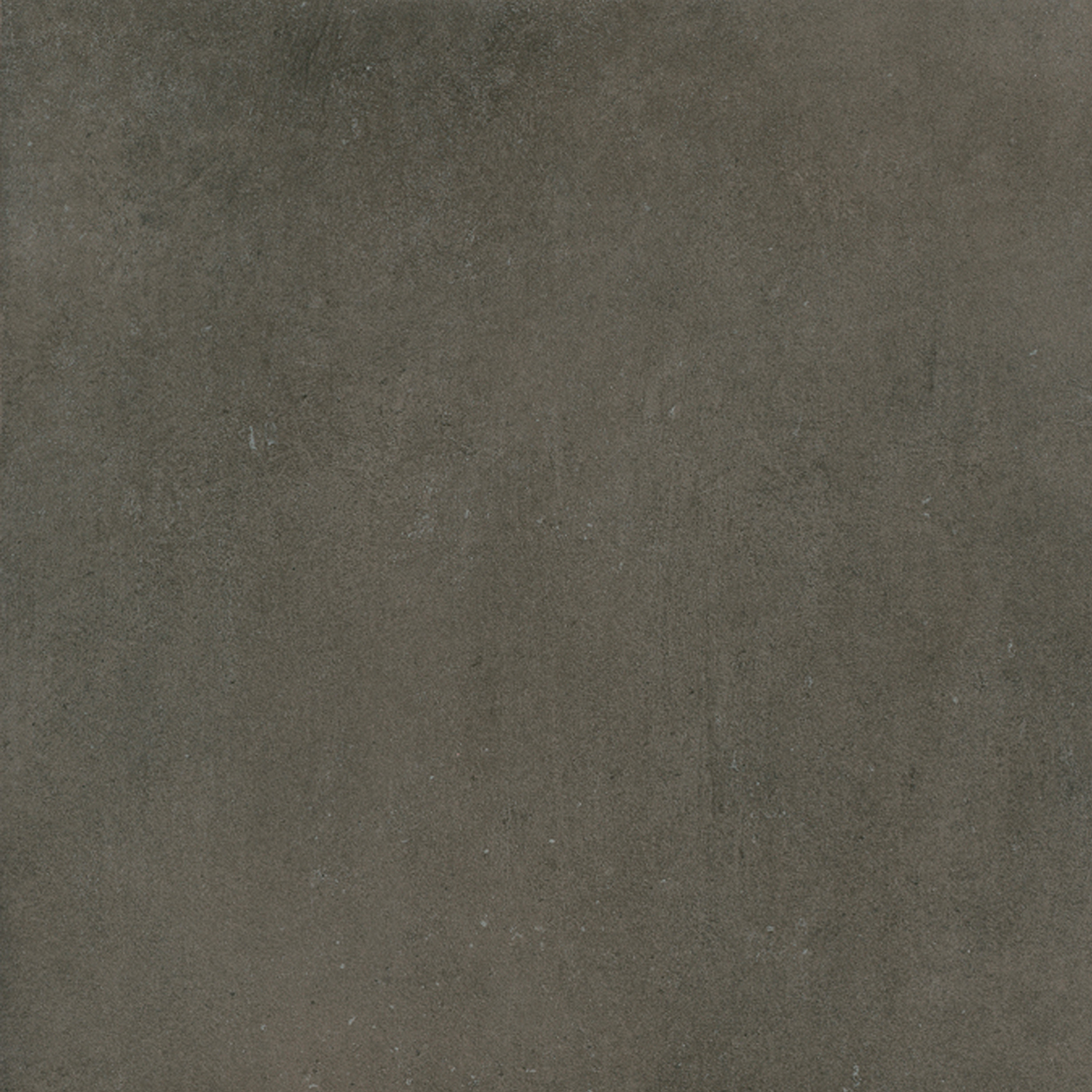 Starcrete Nut Naturale 12"x24 | Color Body Porcelain | Floor/Wall Tile