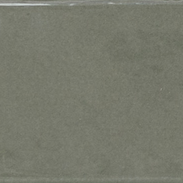 Symmetry Forest Matte 2.5"x10" Picket | Glazed Porcelain | Floor/Wall Tile