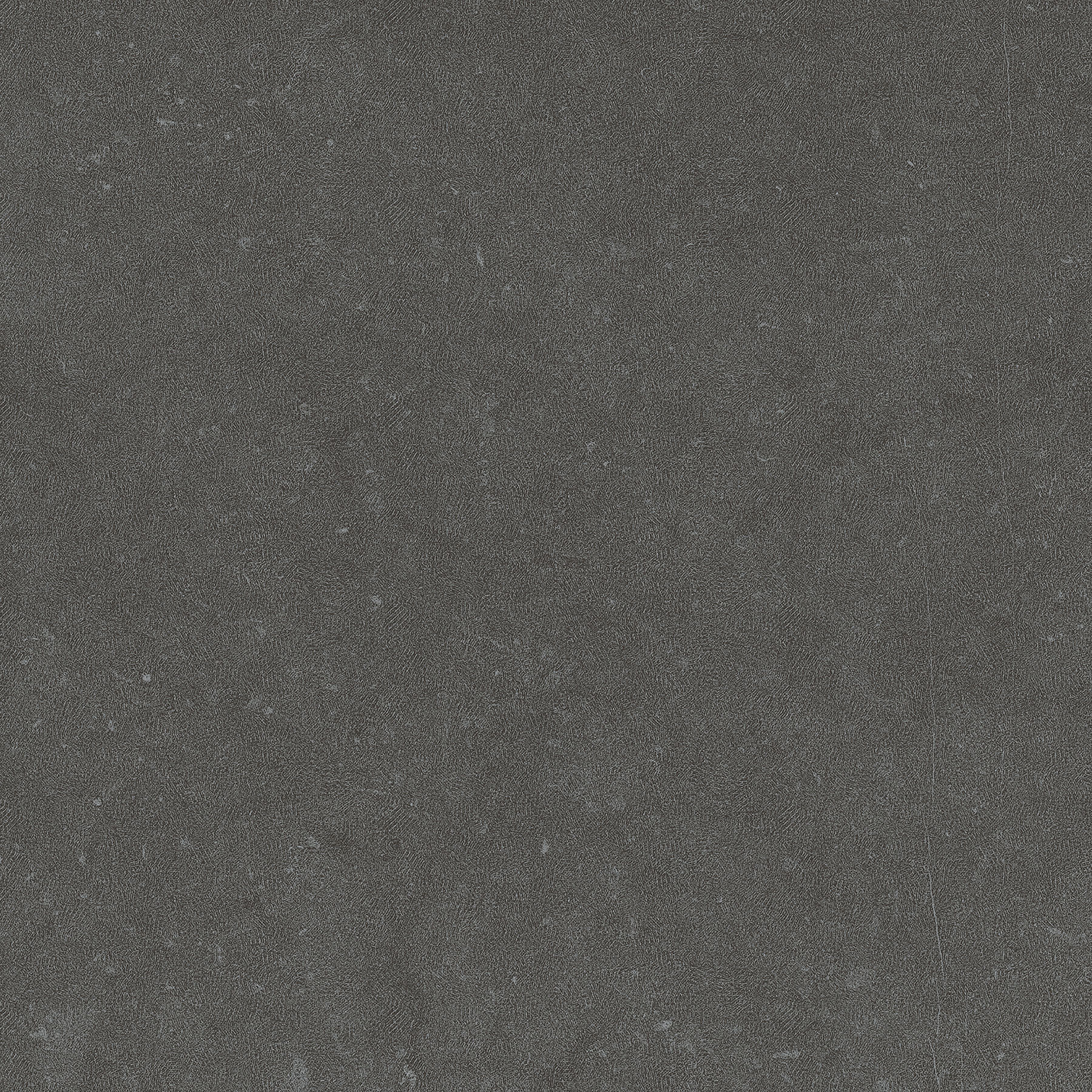Tanami Anthracite Matte 12"X24 | Color Body Porcelain | Floor/Wall Tile