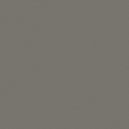 Textura Graphite Matte 6.5"x21 | Color Body Porcelain | Floor/Wall Tile