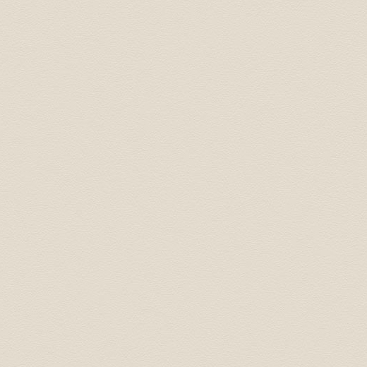 Textura White Matte 6.5"x21 | Color Body Porcelain | Floor/Wall Tile