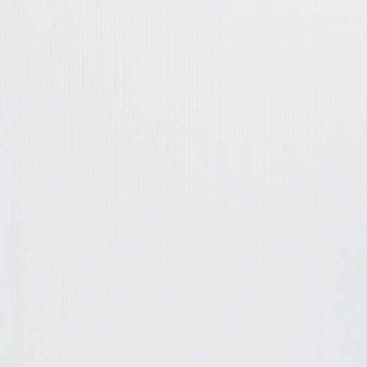 Vivid White Gloss 6"x16 | Ceramic | Wall Tile