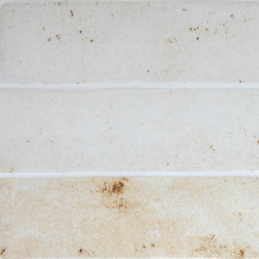 Zanzibar Ivory Polished 2"x18" | Glazed Porcelain | Floor/Wall Tile